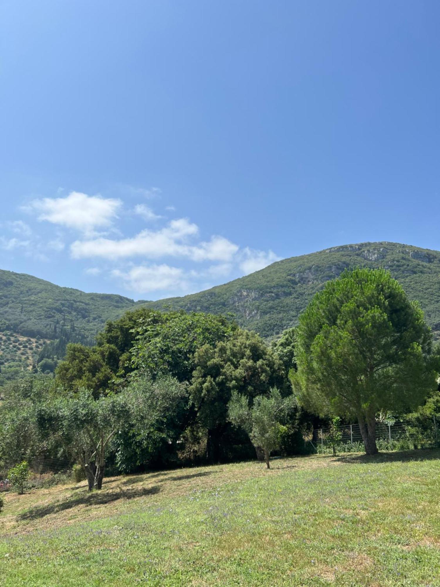 Villa Alexakis Doukádes Esterno foto